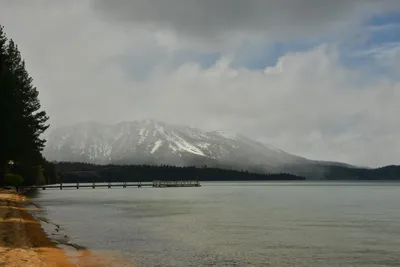 DSC_6764 (Large).JPG